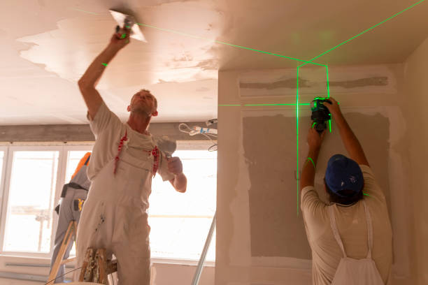 Best Drywall Removal and Disposal  in Smithfield, NC